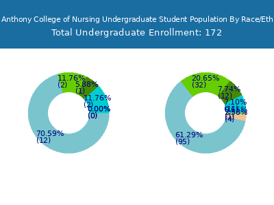 Saint Anthony College of Nursing 2025 Undergraduate Enrollment by Gender and Race chart