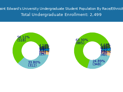 Saint Edward's University 2025 Undergraduate Enrollment by Gender and Race chart