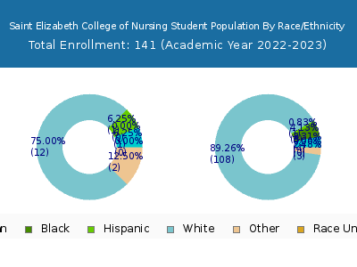Saint Elizabeth College of Nursing 2023 Student Population by Gender and Race chart