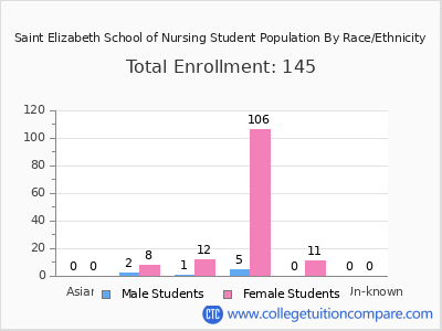 Saint Elizabeth School of Nursing 2025 Student Population by Gender and Race chart