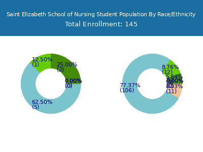 Saint Elizabeth School of Nursing 2025 Student Population by Gender and Race chart