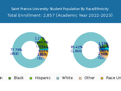 Saint Francis University 2023 Student Population by Gender and Race chart