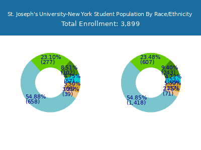 St. Joseph's University-New York 2025 Student Population by Gender and Race chart