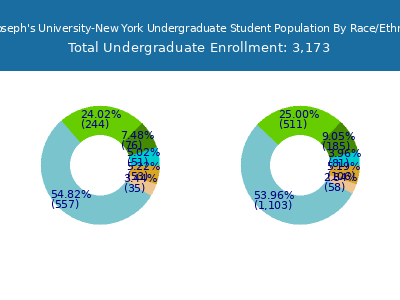St. Joseph's University-New York 2025 Undergraduate Enrollment by Gender and Race chart