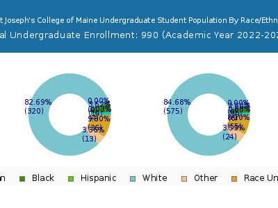 Saint Joseph's College of Maine 2023 Undergraduate Enrollment by Gender and Race chart