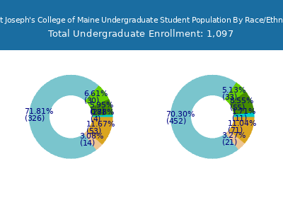 Saint Joseph's College of Maine 2025 Undergraduate Enrollment by Gender and Race chart