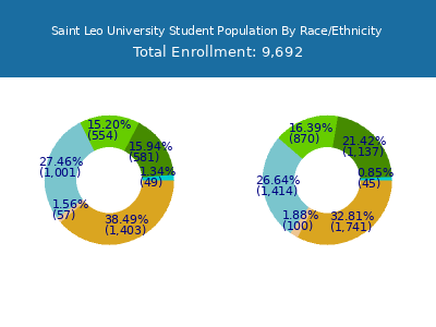 Saint Leo University 2025 Student Population by Gender and Race chart