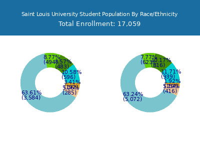 Saint Louis University 2025 Student Population by Gender and Race chart