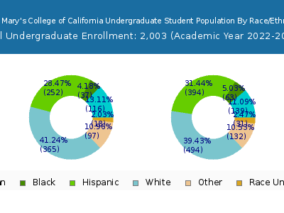 Saint Mary's College of California 2023 Undergraduate Enrollment by Gender and Race chart