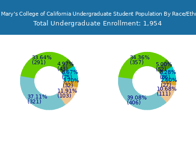 Saint Mary's College of California 2025 Undergraduate Enrollment by Gender and Race chart