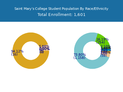 Saint Mary's College 2025 Student Population by Gender and Race chart
