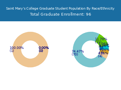 Saint Mary's College 2025 Graduate Enrollment by Gender and Race chart
