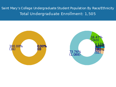 Saint Mary's College 2025 Undergraduate Enrollment by Gender and Race chart