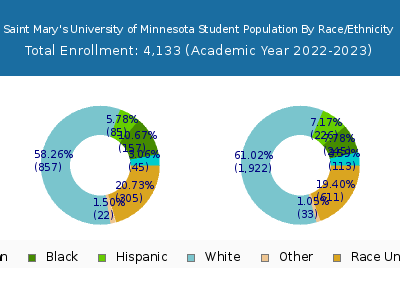Saint Mary's University of Minnesota 2023 Student Population by Gender and Race chart