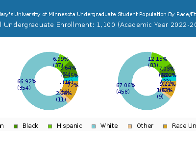 Saint Mary's University of Minnesota 2023 Undergraduate Enrollment by Gender and Race chart
