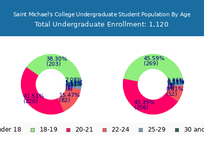 Saint Michael's College 2025 Undergraduate Enrollment Age Diversity Pie chart