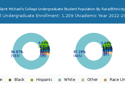 Saint Michael's College 2023 Undergraduate Enrollment by Gender and Race chart