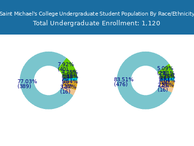 Saint Michael's College 2025 Undergraduate Enrollment by Gender and Race chart