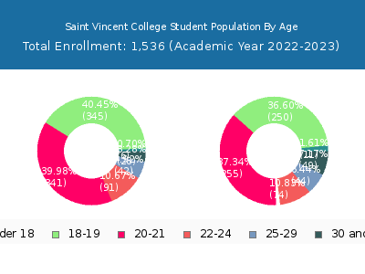 Saint Vincent College 2023 Student Population Age Diversity Pie chart