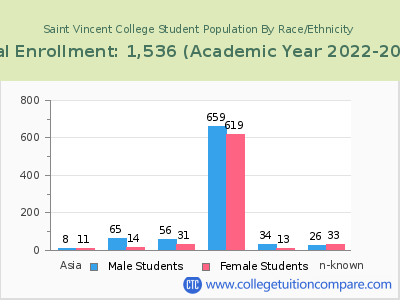 Saint Vincent College 2023 Student Population by Gender and Race chart