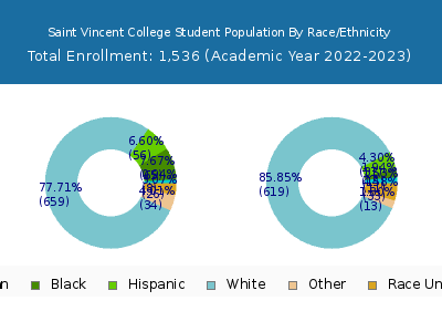 Saint Vincent College 2023 Student Population by Gender and Race chart