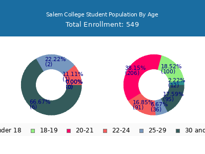 Salem College 2025 Student Population Age Diversity Pie chart