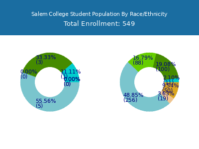 Salem College 2025 Student Population by Gender and Race chart