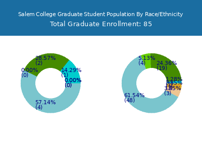 Salem College 2025 Graduate Enrollment by Gender and Race chart