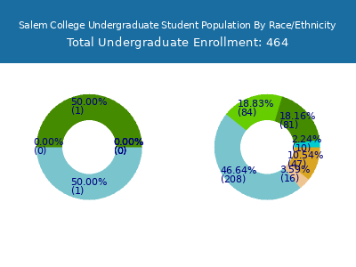 Salem College 2025 Undergraduate Enrollment by Gender and Race chart