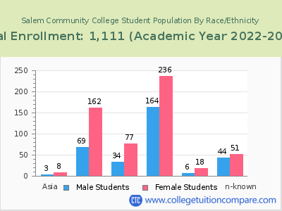 Salem Community College 2023 Student Population by Gender and Race chart