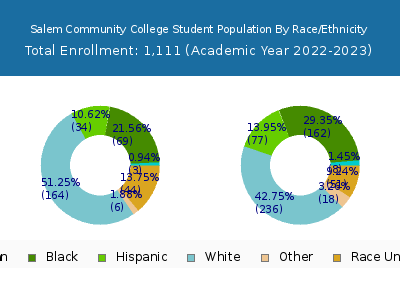 Salem Community College 2023 Student Population by Gender and Race chart