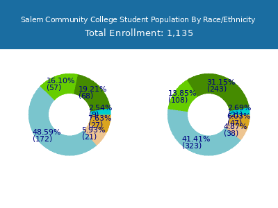 Salem Community College 2025 Student Population by Gender and Race chart