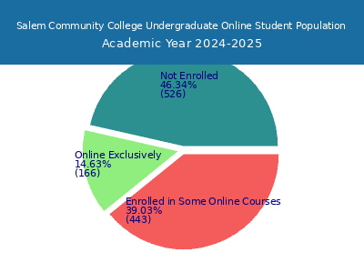 Salem Community College 2025 Online Student Population chart