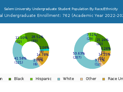 Salem University 2023 Undergraduate Enrollment by Gender and Race chart