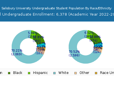 Salisbury University 2023 Undergraduate Enrollment by Gender and Race chart