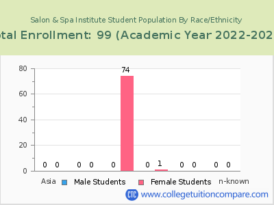 Salon & Spa Institute 2023 Student Population by Gender and Race chart