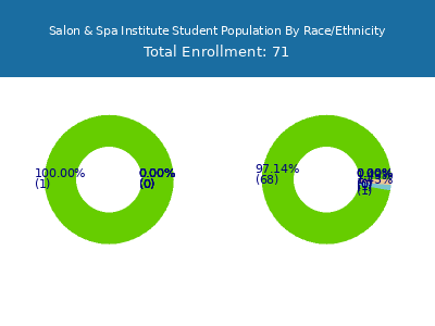 Salon & Spa Institute 2025 Student Population by Gender and Race chart
