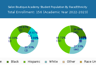 Salon Boutique Academy 2023 Student Population by Gender and Race chart