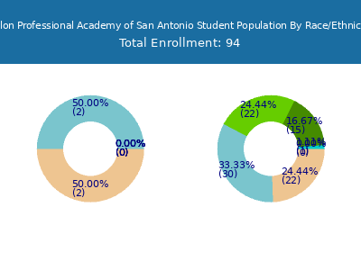 Salon Professional Academy of San Antonio 2025 Student Population by Gender and Race chart