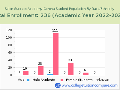 Salon Success Academy-Corona 2023 Student Population by Gender and Race chart