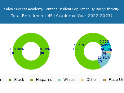 Salon Success Academy-Fontana 2023 Student Population by Gender and Race chart