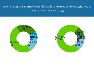 Salon Success Academy-Riverside 2025 Student Population by Gender and Race chart