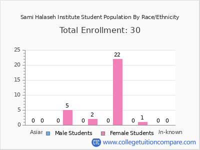 Sami Halaseh Institute 2025 Student Population by Gender and Race chart