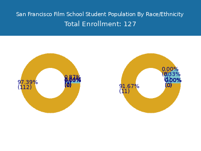 San Francisco Film School 2025 Student Population by Gender and Race chart