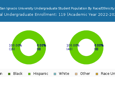 San Ignacio University 2023 Undergraduate Enrollment by Gender and Race chart