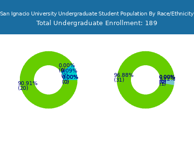 San Ignacio University 2025 Undergraduate Enrollment by Gender and Race chart