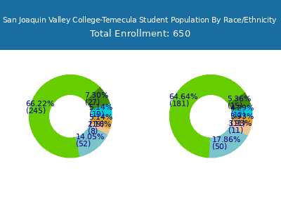 San Joaquin Valley College-Temecula 2025 Student Population by Gender and Race chart