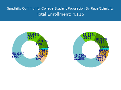 Sandhills Community College 2025 Student Population by Gender and Race chart