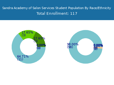 Sandra Academy of Salon Services 2025 Student Population by Gender and Race chart