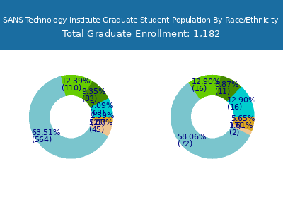 SANS Technology Institute 2025 Graduate Enrollment by Gender and Race chart